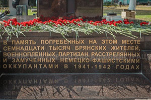 В Брянске прошел митинг «И отсвет тех далеких дней - в сердцах и памяти людей»